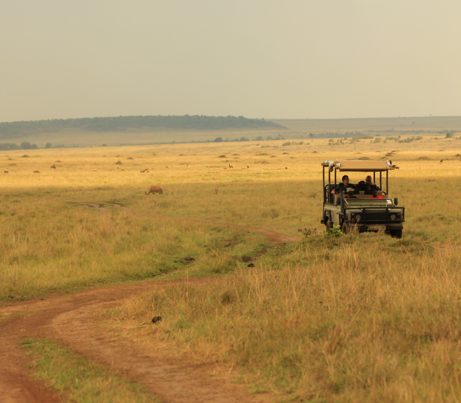 4-Days Lake Naivasha & Masai Mara Safari Attractions