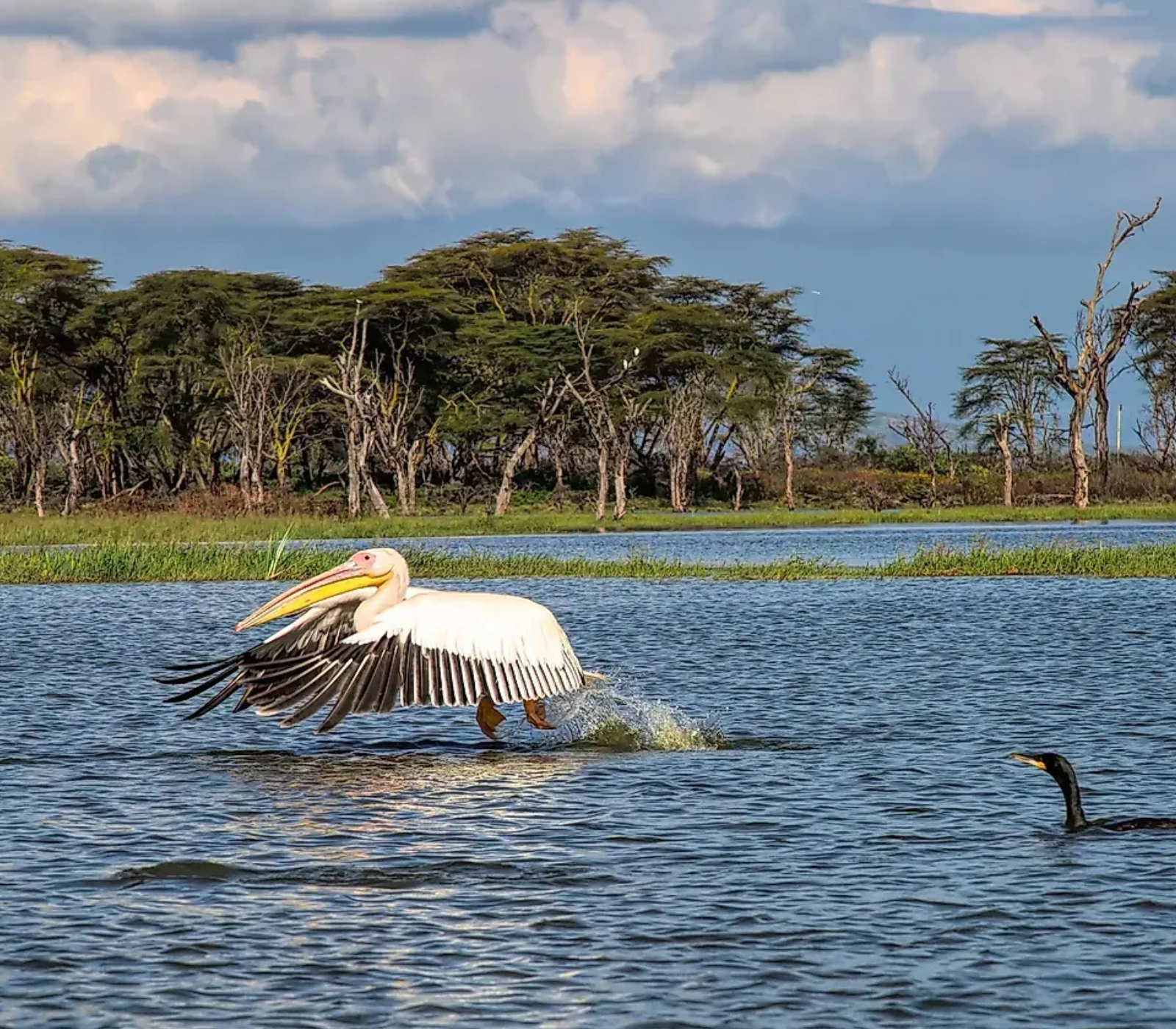 4-Days Lake Naivasha & Masai Mara Safari Attractions