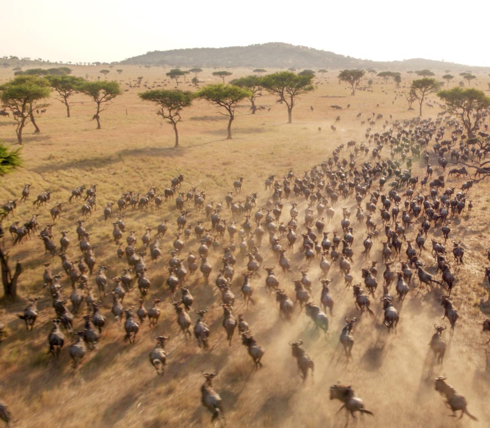 4-Days Masai Mara Game Reserve Safari Attractions