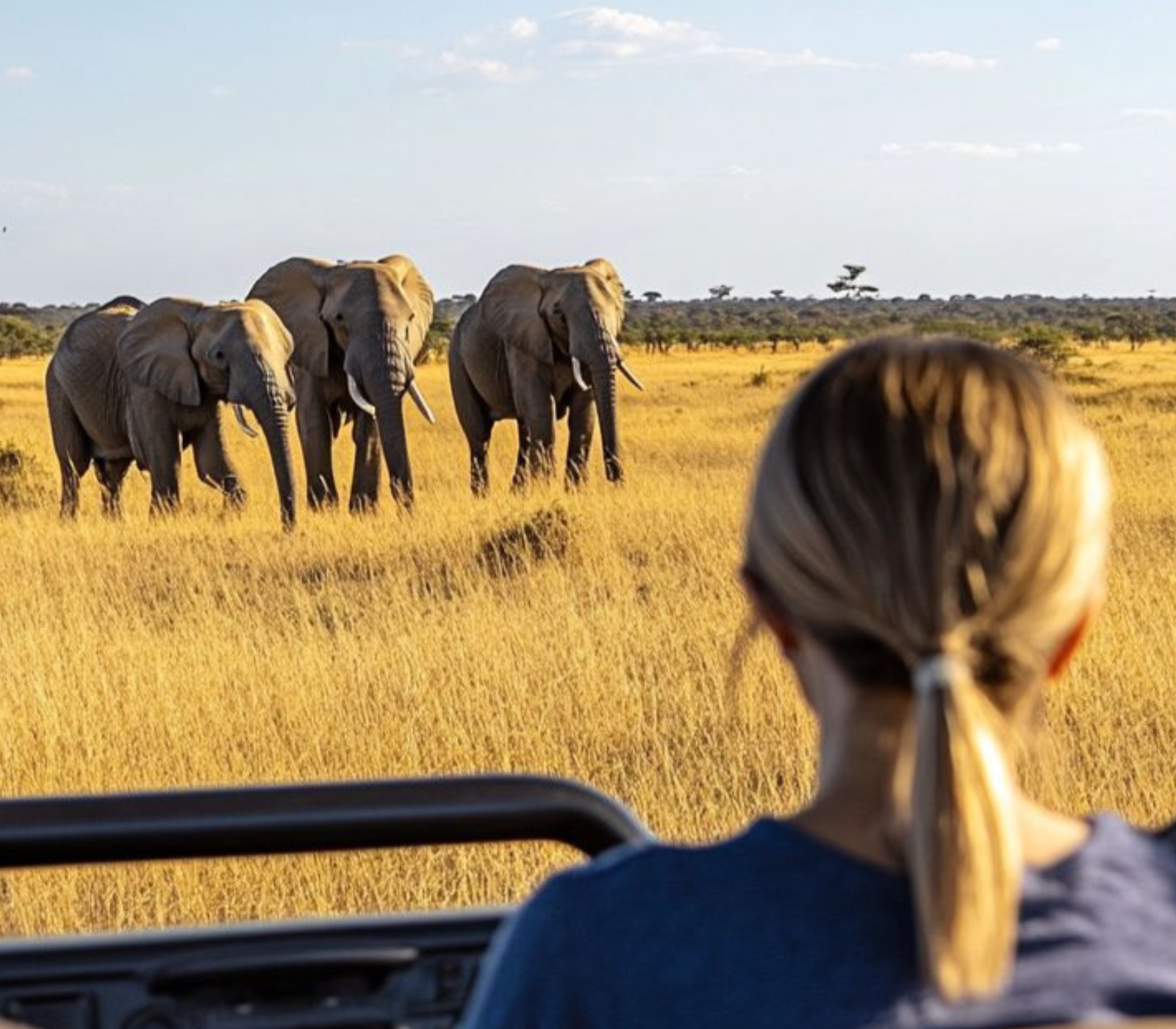 4-Days Masai Mara Game Reserve Safari Attractions