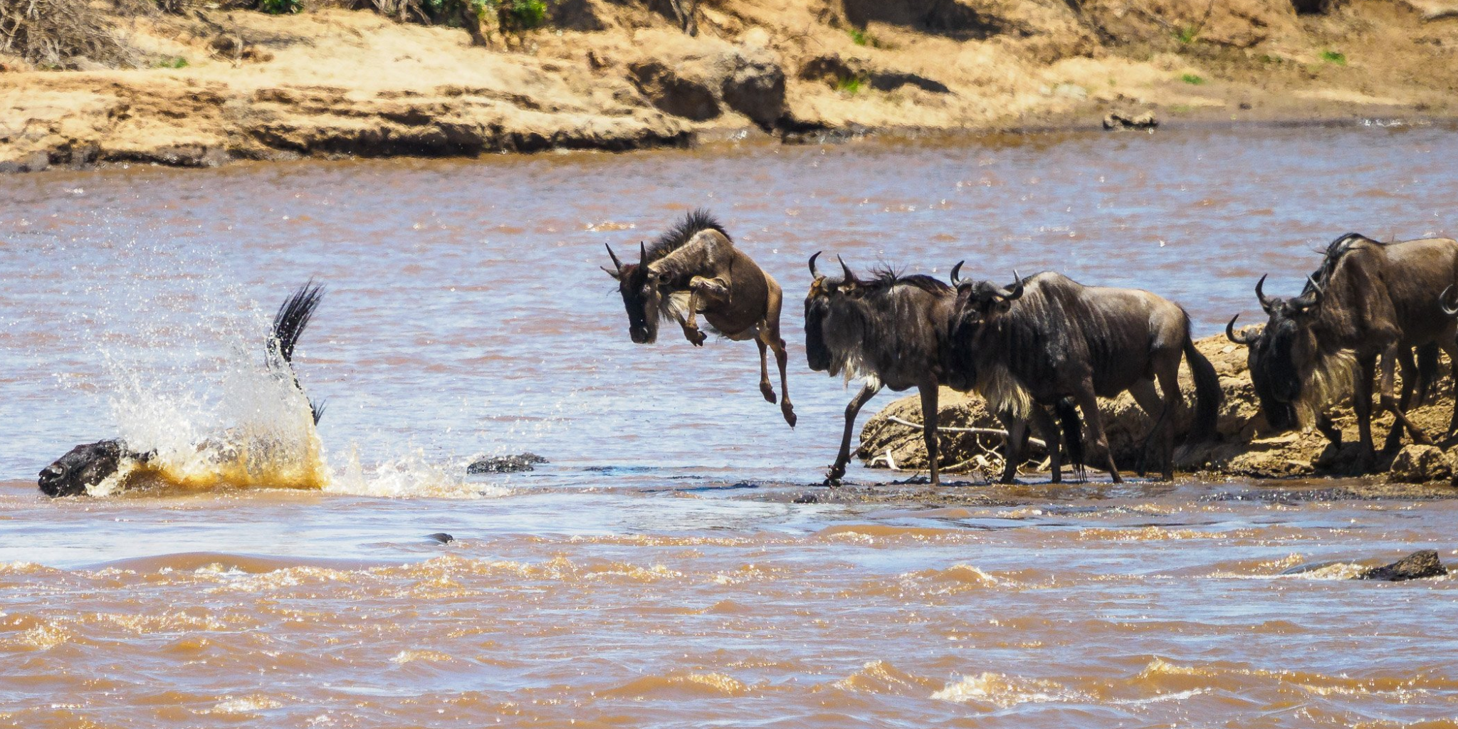 4-Days Masai Mara Game Reserve Safari
