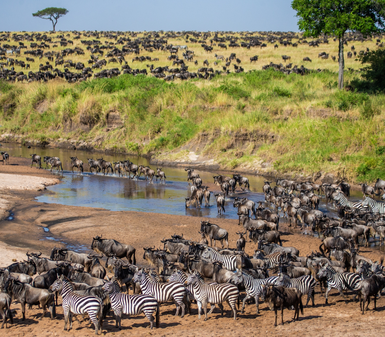 4-Day Private Safari: Lake Nakuru, Lake Naivasha & Masai Mara Attractions