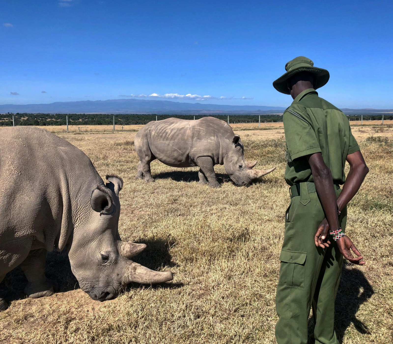 4-Days Private Safari – Ol Pejeta & Samburu Game Reserve Attractions