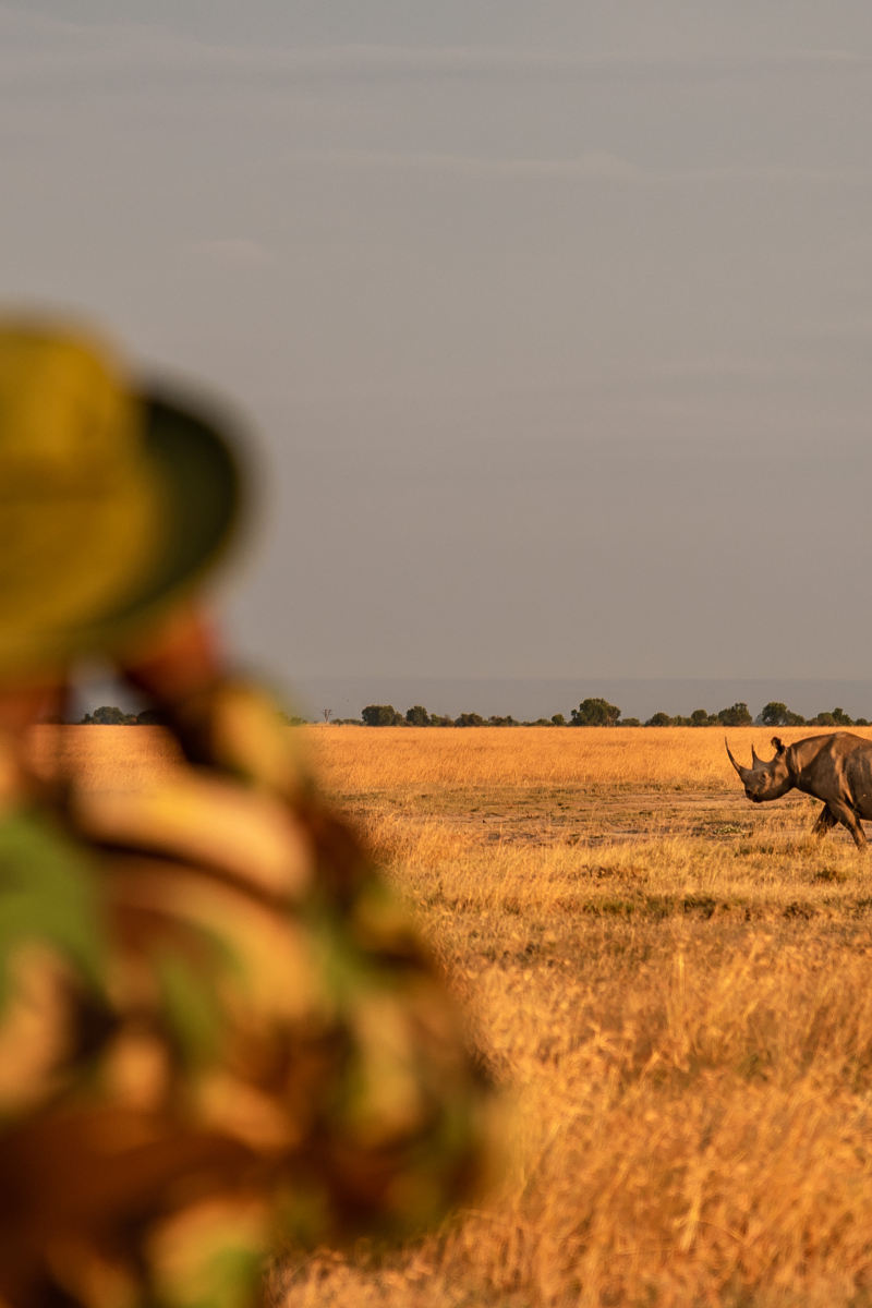 4-Days Private Safari – Ol Pejeta & Samburu Game Reserve