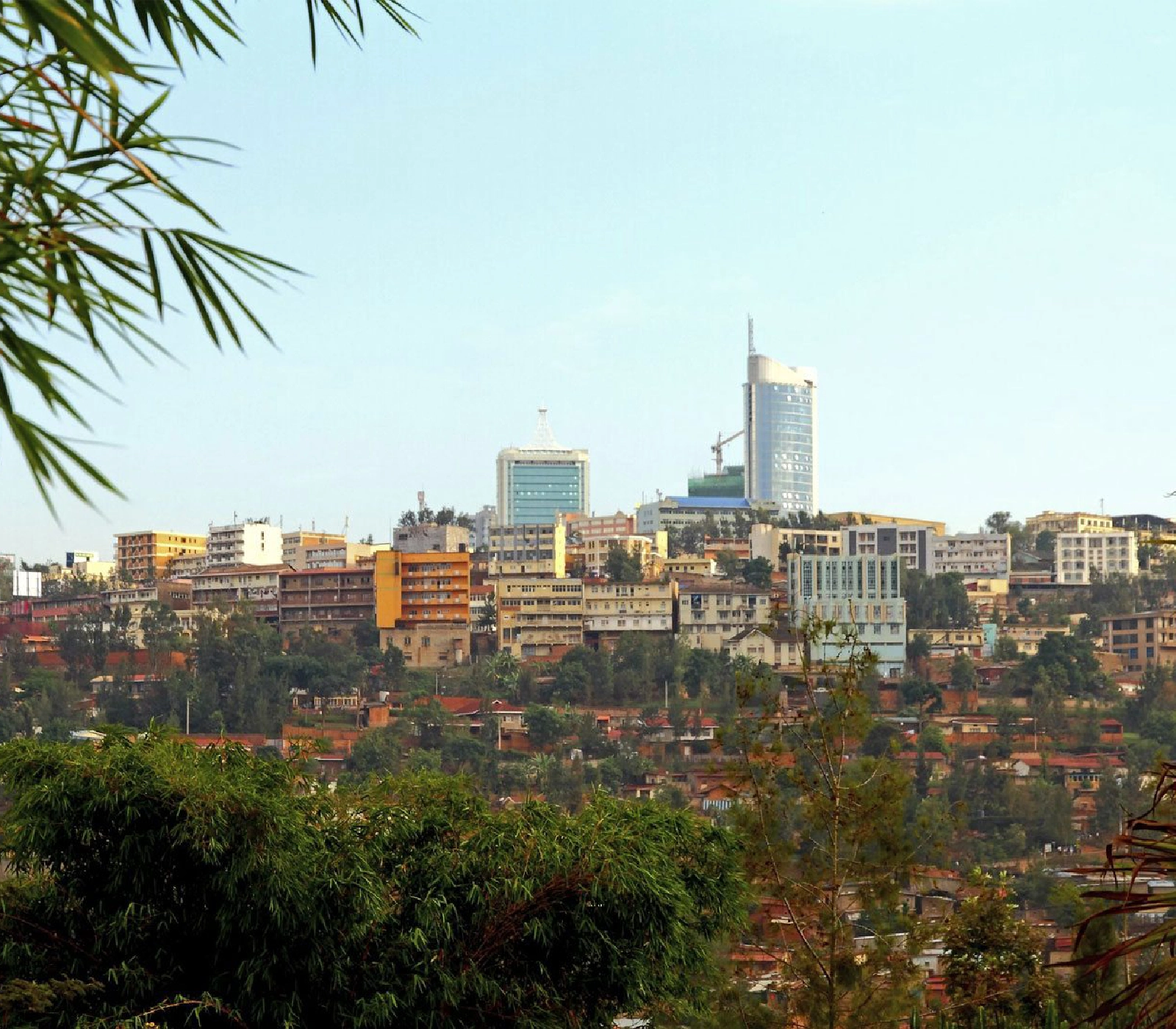 4 Days Rwanda Gorilla Trekking  attractions