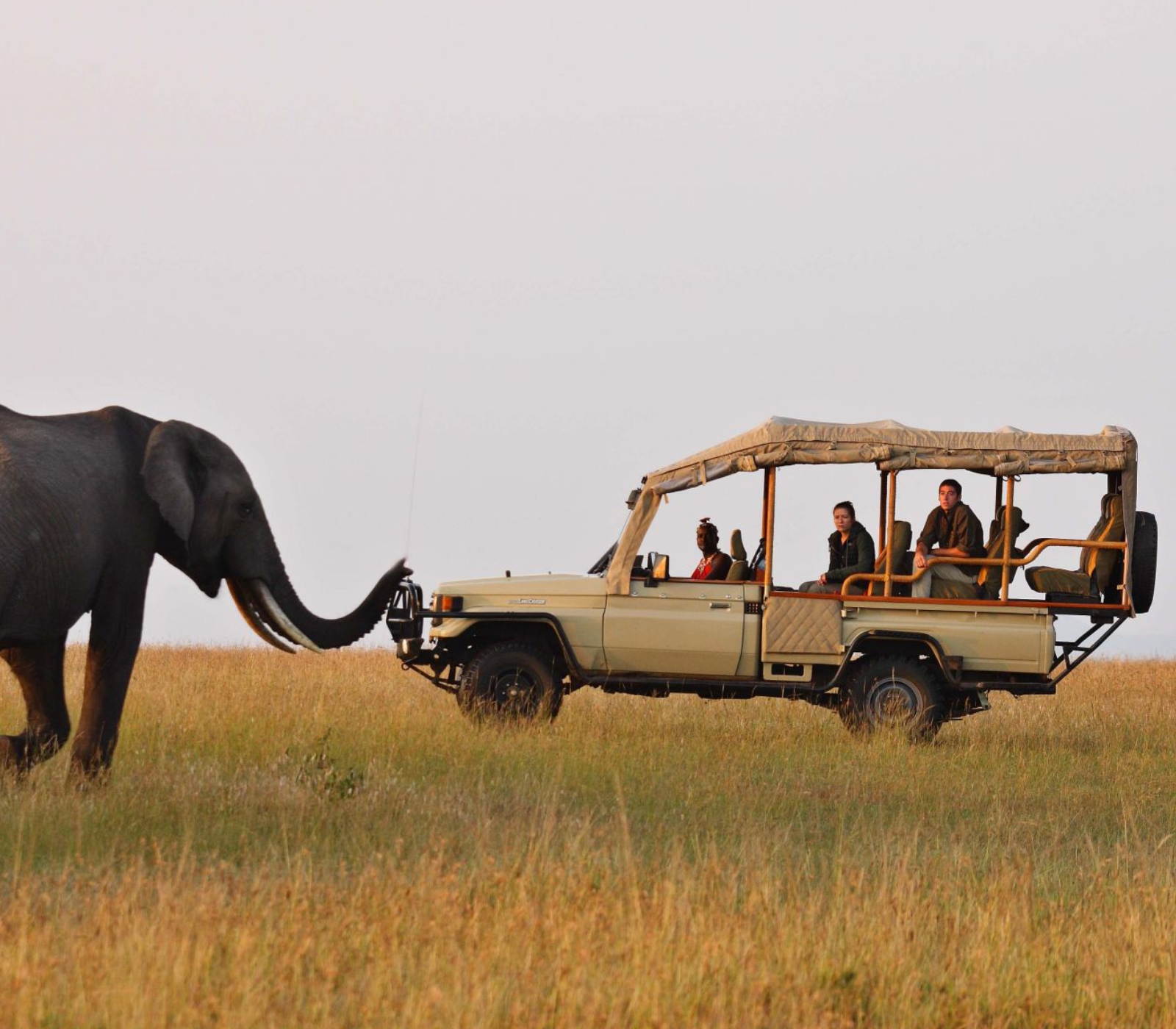 4-Days Safaris To Lake Nakuru & Naivasha, Crescent Island & Masai Mara Attractions