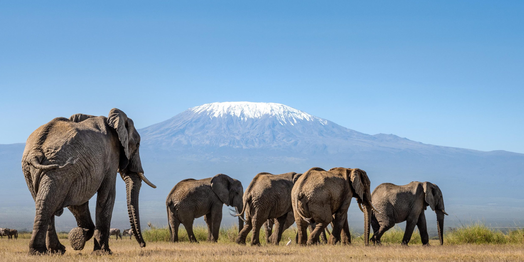 5 Days - Amboseli, Tsavo West And Tsavo East