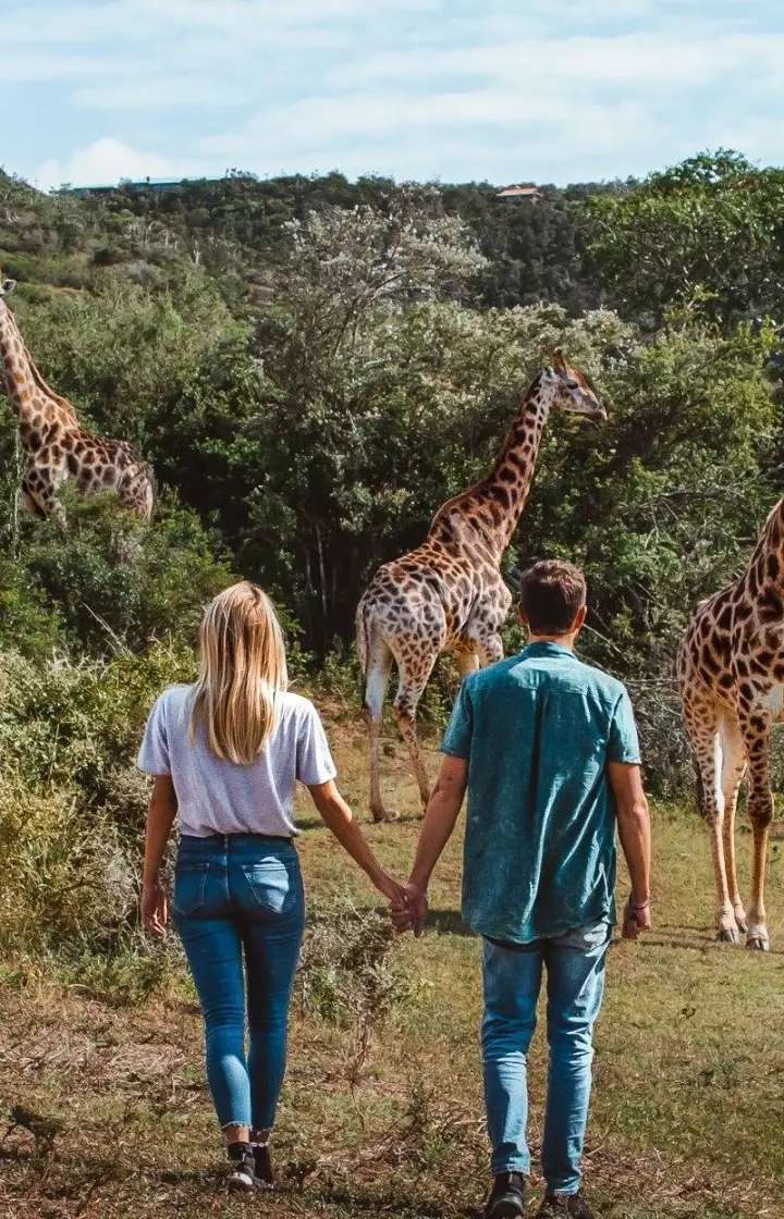 5 Days Kenya Honeymoon Safari wildlife