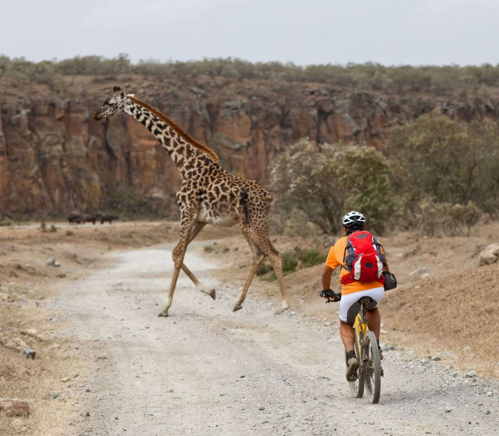 5-Days Kenya Safari: Masai Mara, Lake Naivasha, Amboseli & Coast Attractions