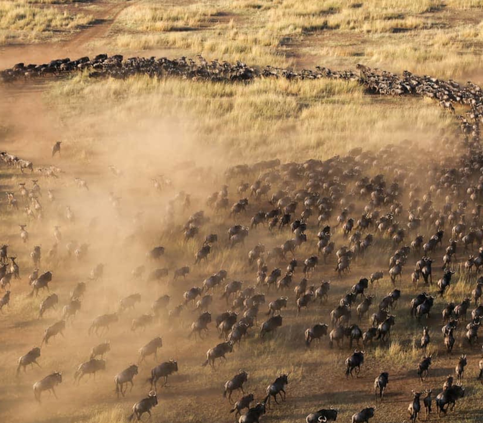 5-Days Masai Mara & Amboseli Safari Attractions