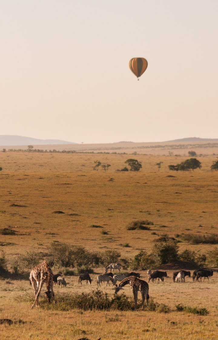 5-Days Masai Mara & Amboseli Safari To Kenya Beach Ballon Safari