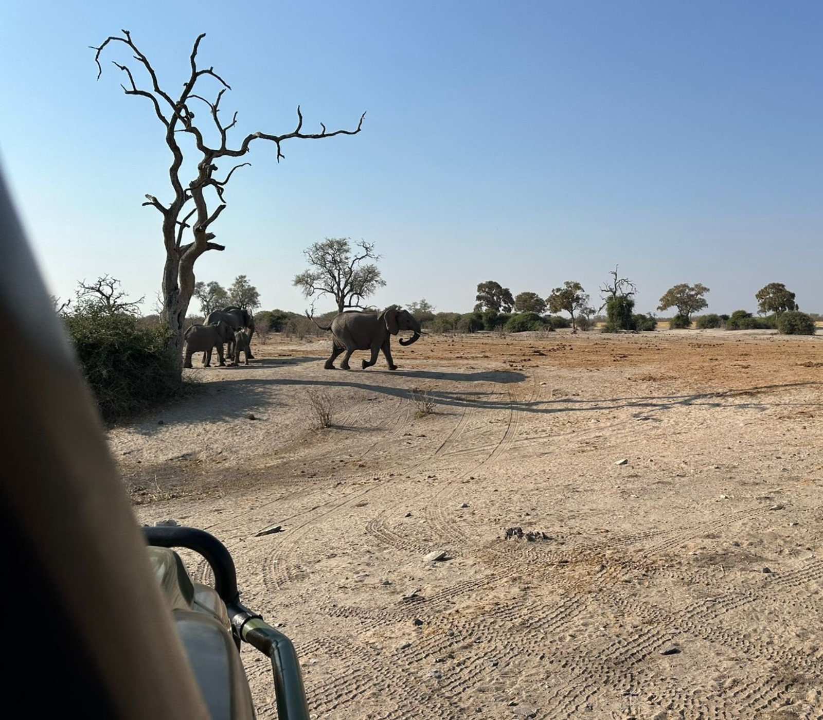 5-Days Masai Mara & Amboseli Safari To Kenya Beach Attractions