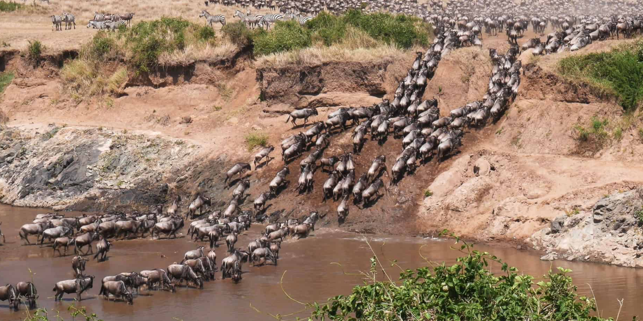 5-Days Masai Mara & Amboseli Safari To Kenya Beach