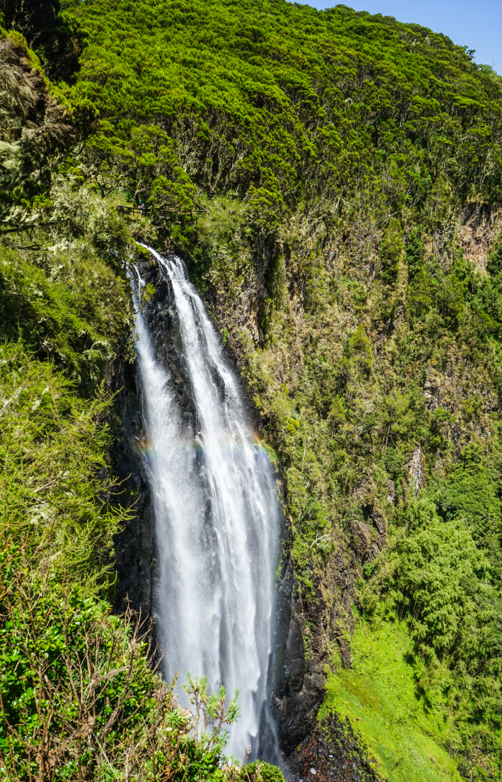 5-Days Safari Aberdare – Lake Nakuru – Masai Mara Waterfalls