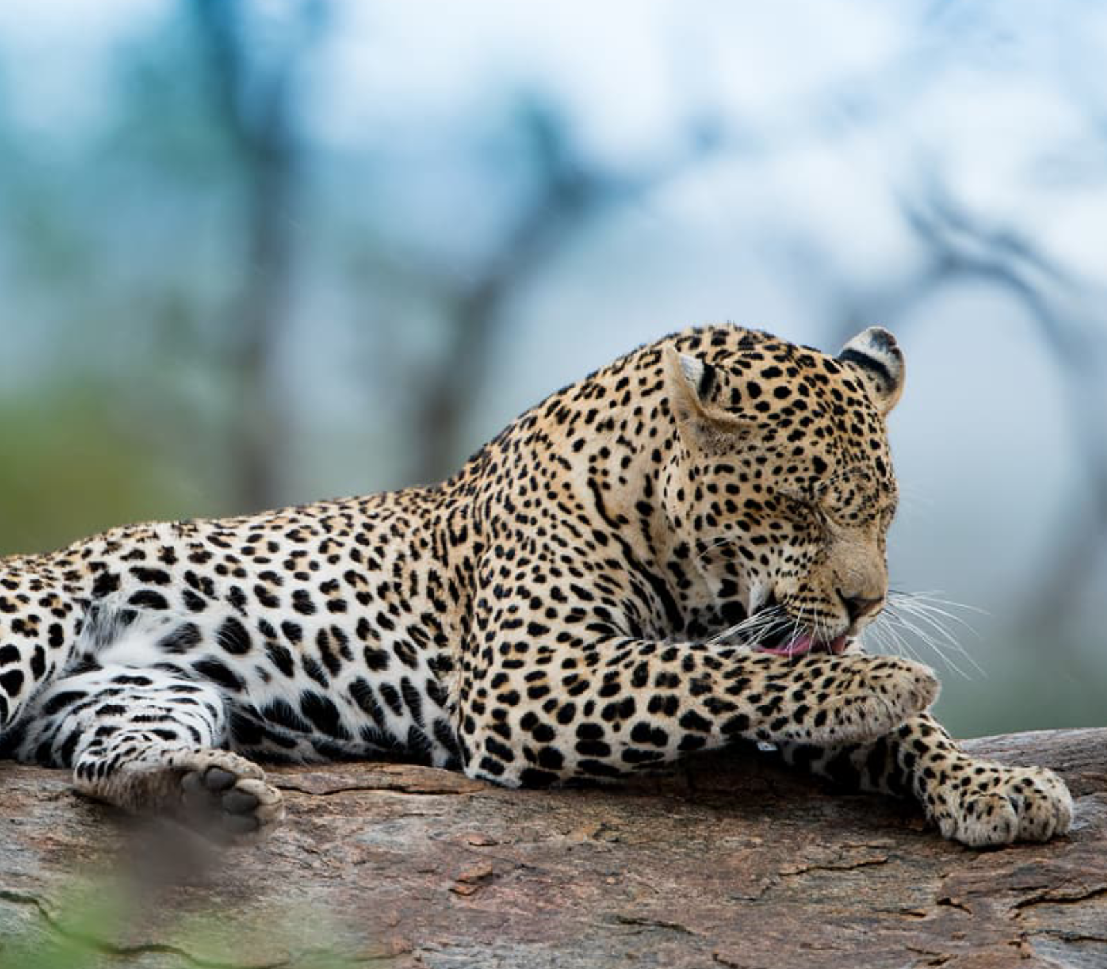 5-Days Safari Aberdare – Lake Nakuru – Masai Mara Attractions