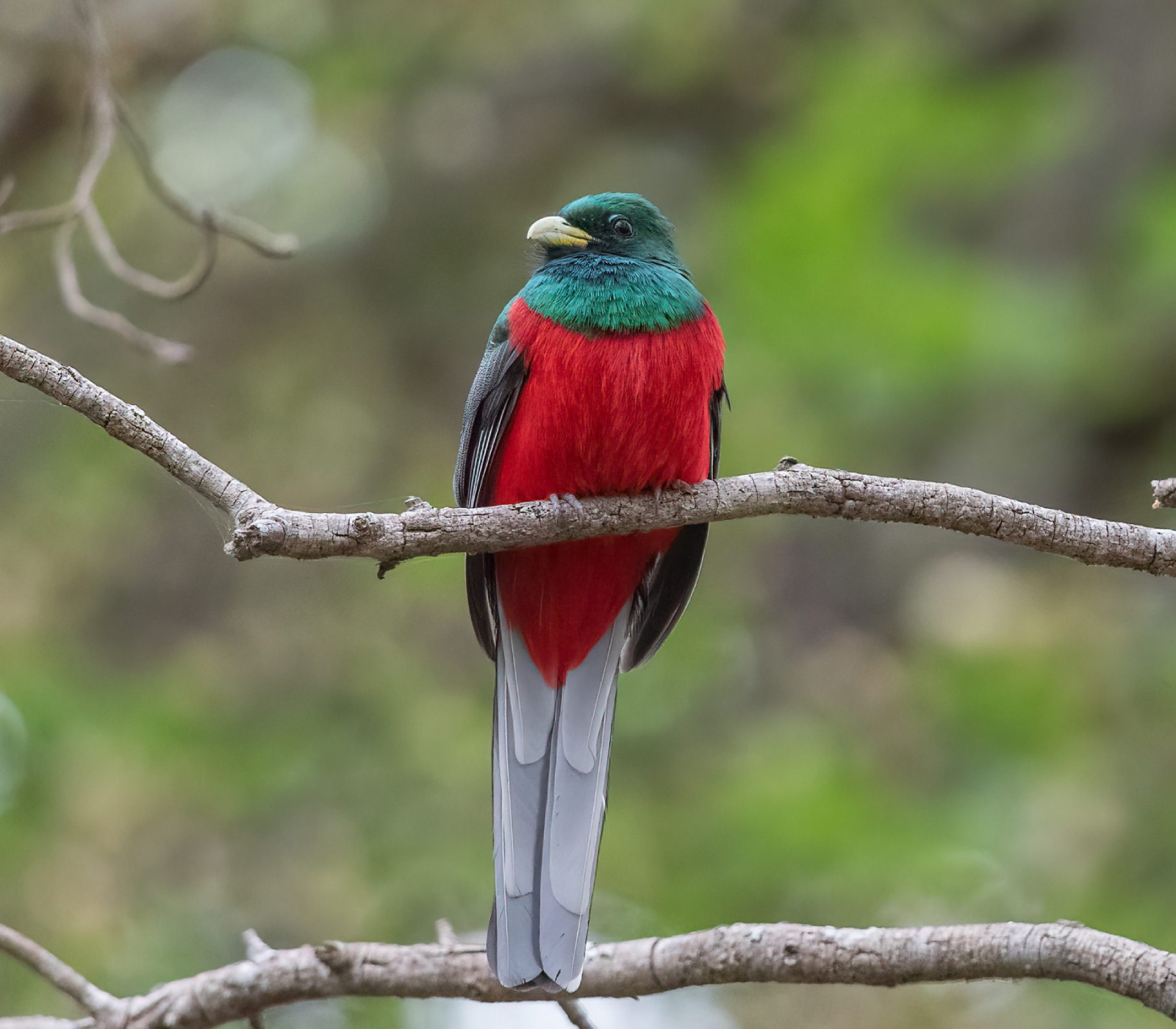 5-Days Safari Aberdare – Lake Nakuru – Masai Mara Attractions