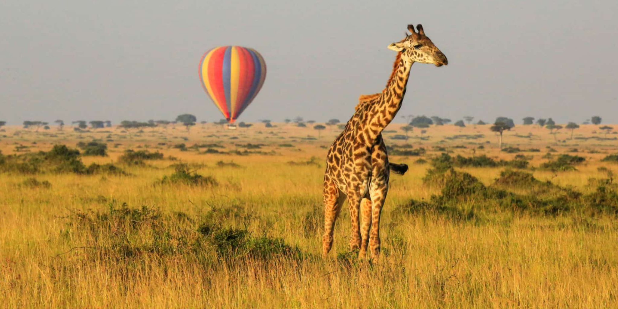 5-Days Safari Aberdare – Lake Nakuru – Masai Mara
