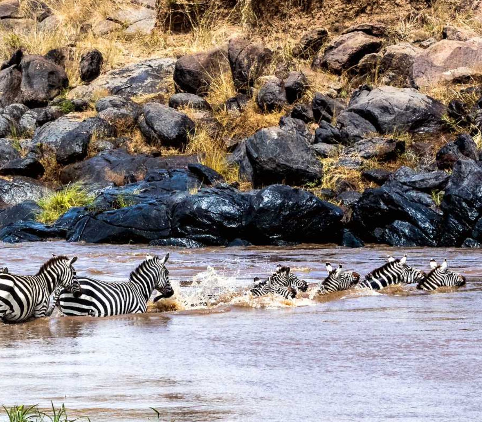 5-Days Safari: Amboseli – Lake Naivasha – Masai Mara Attractions