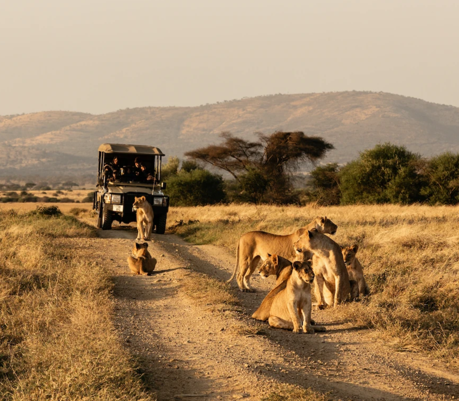 5-Days Safari: Amboseli – Lake Naivasha – Masai Mara Attractions