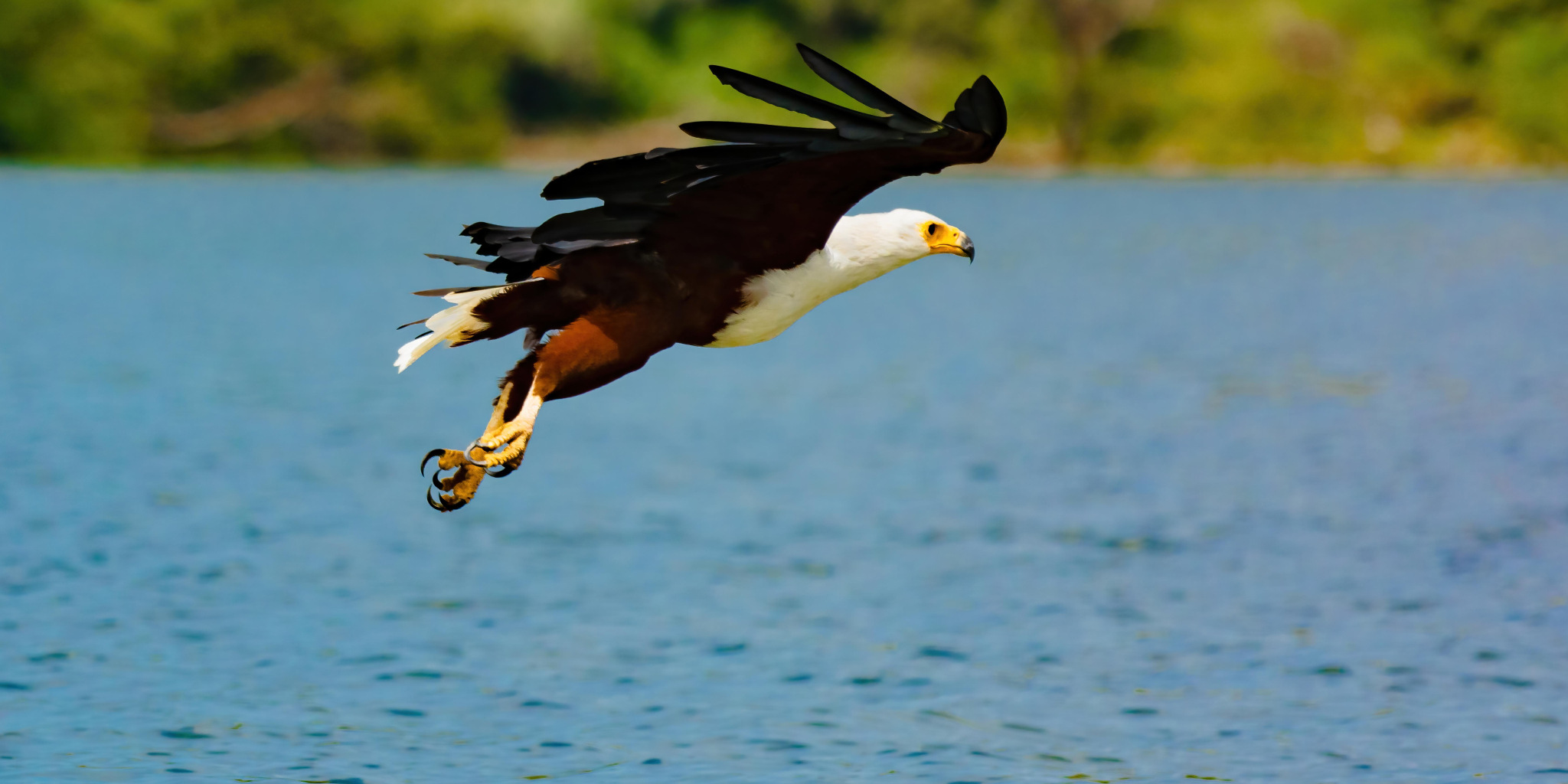 5-Days Safari: Amboseli – Lake Naivasha – Masai Mara