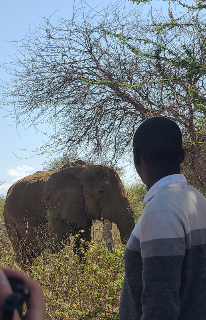 5-Days Safari: Amboseli, Tsavo West & Tsavo East – Nairobi To Coast Wildlife Viewing