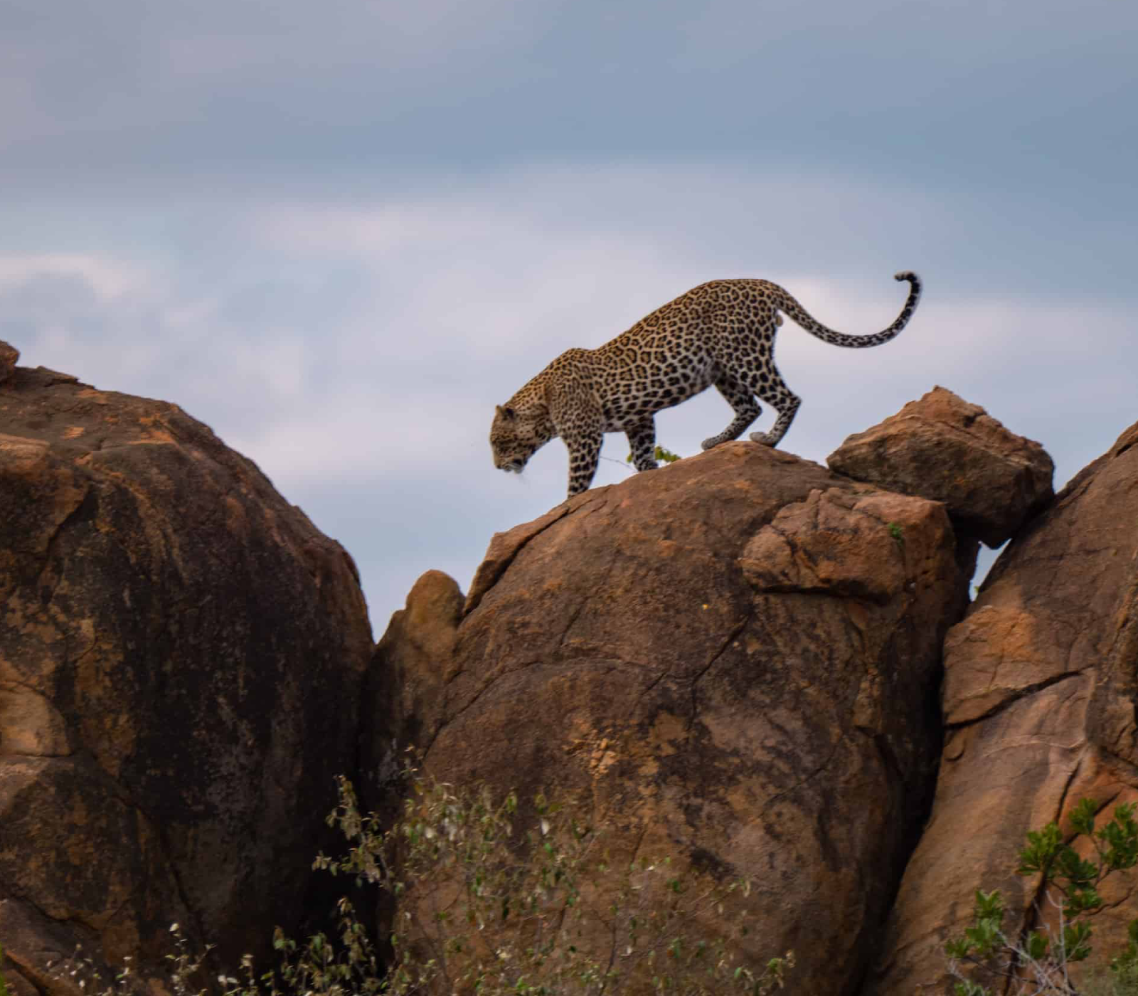 5-Days Safari: Amboseli, Tsavo West & Tsavo East – Nairobi To Coast Attractions