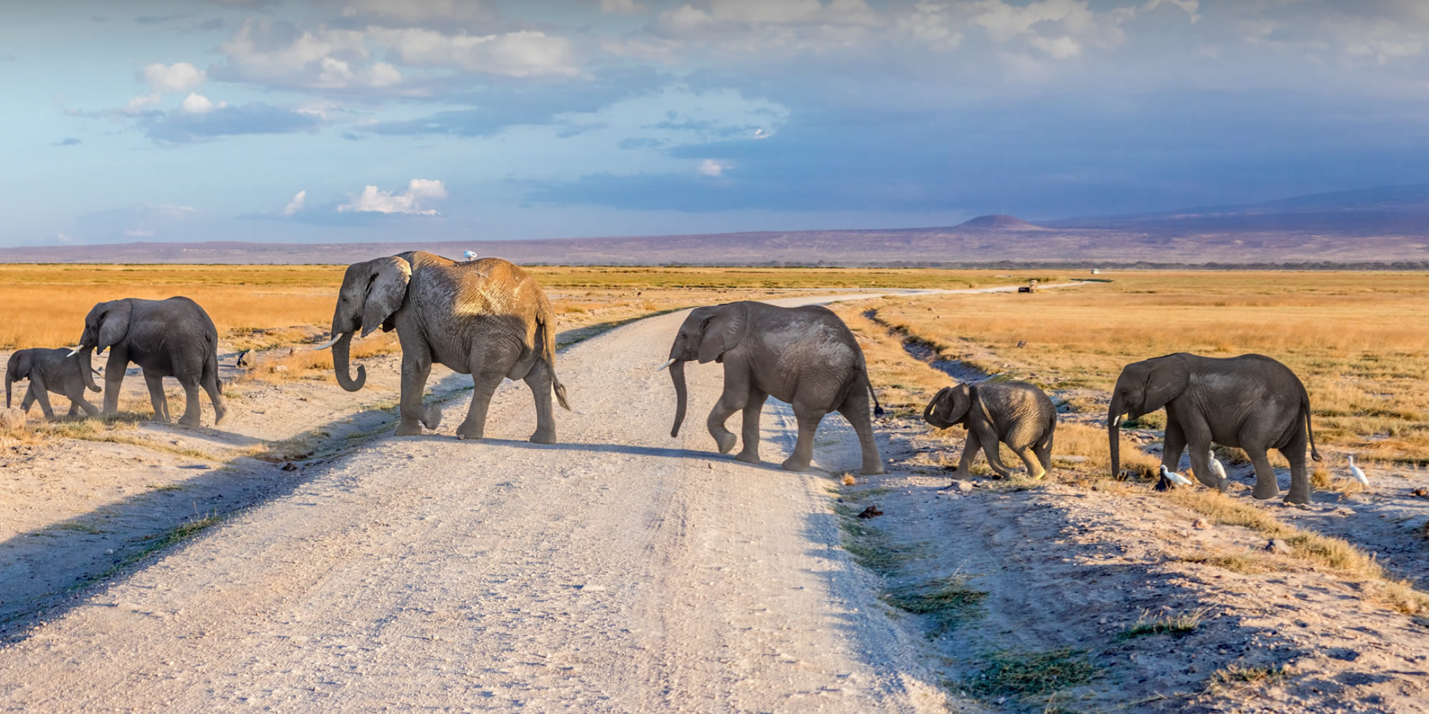 5-Days Safari: Amboseli, Tsavo West & Tsavo East – Nairobi To Coast