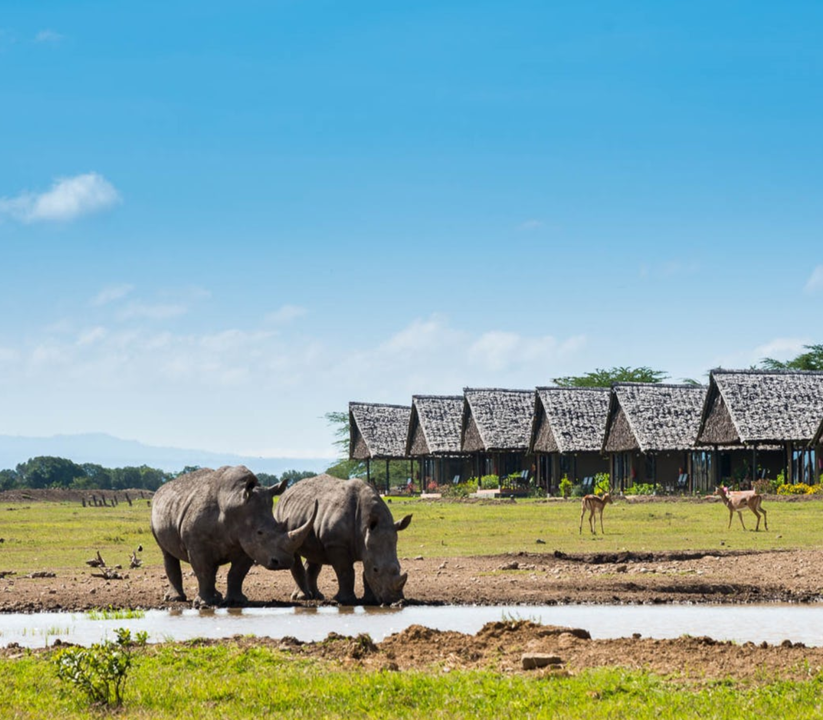 5-Days Safari: Ol Pejeta – Lake Naivasha – Masai Mara Attractions