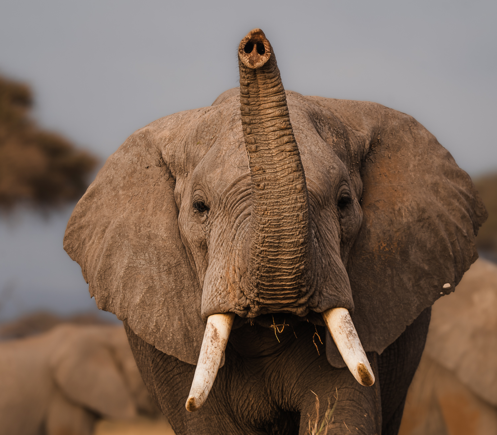 5-Days Safari: Tsavo East – Tsavo West – Amboseli Attractions