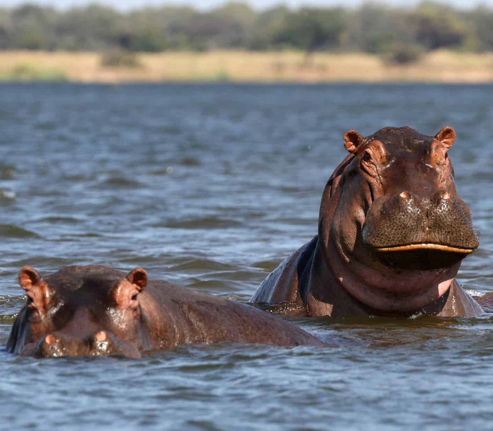 5-Days Safari: Tsavo East – Tsavo West – Amboseli Attractions