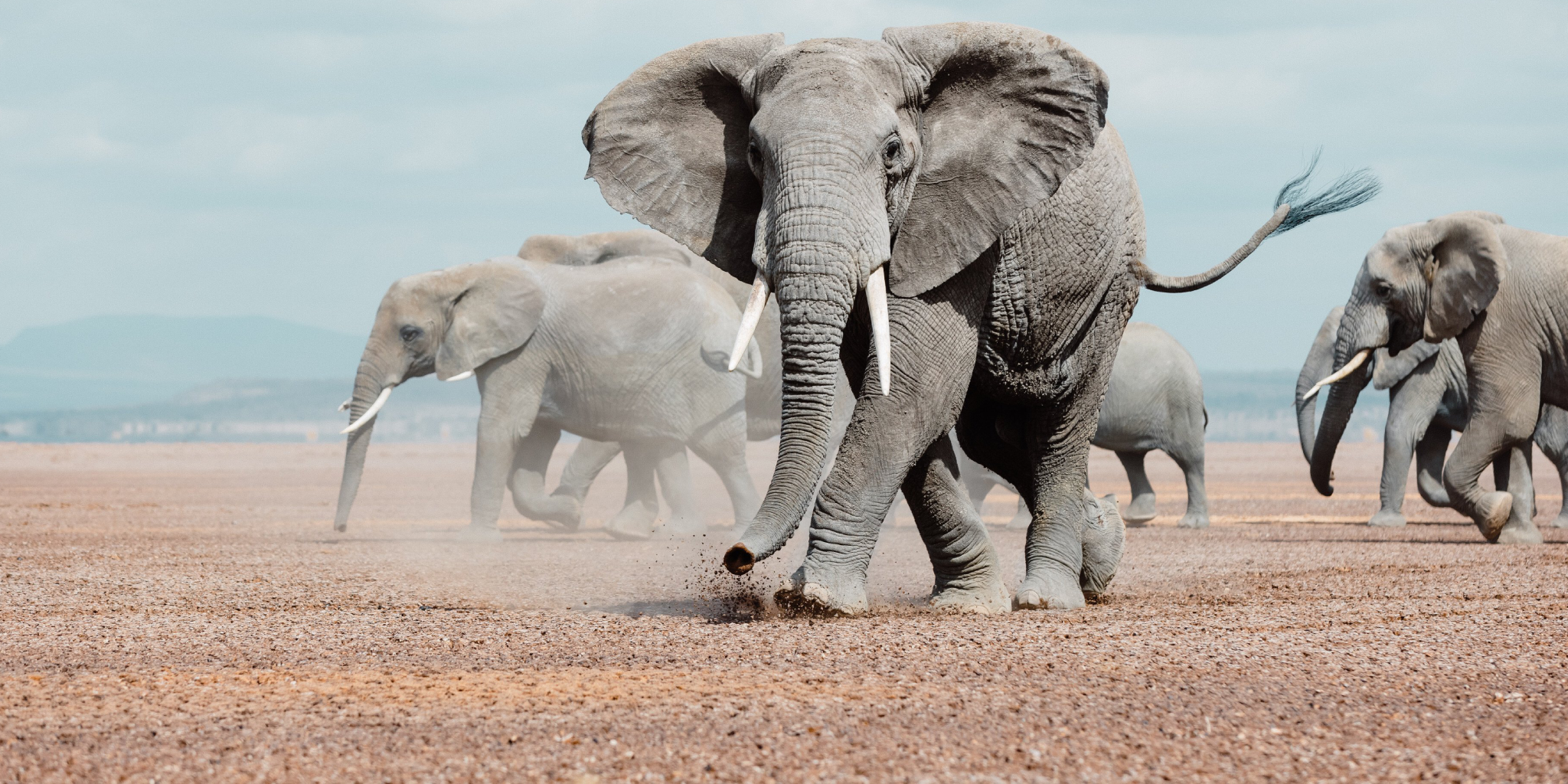 5-Days Safari: Tsavo East – Tsavo West – Amboseli