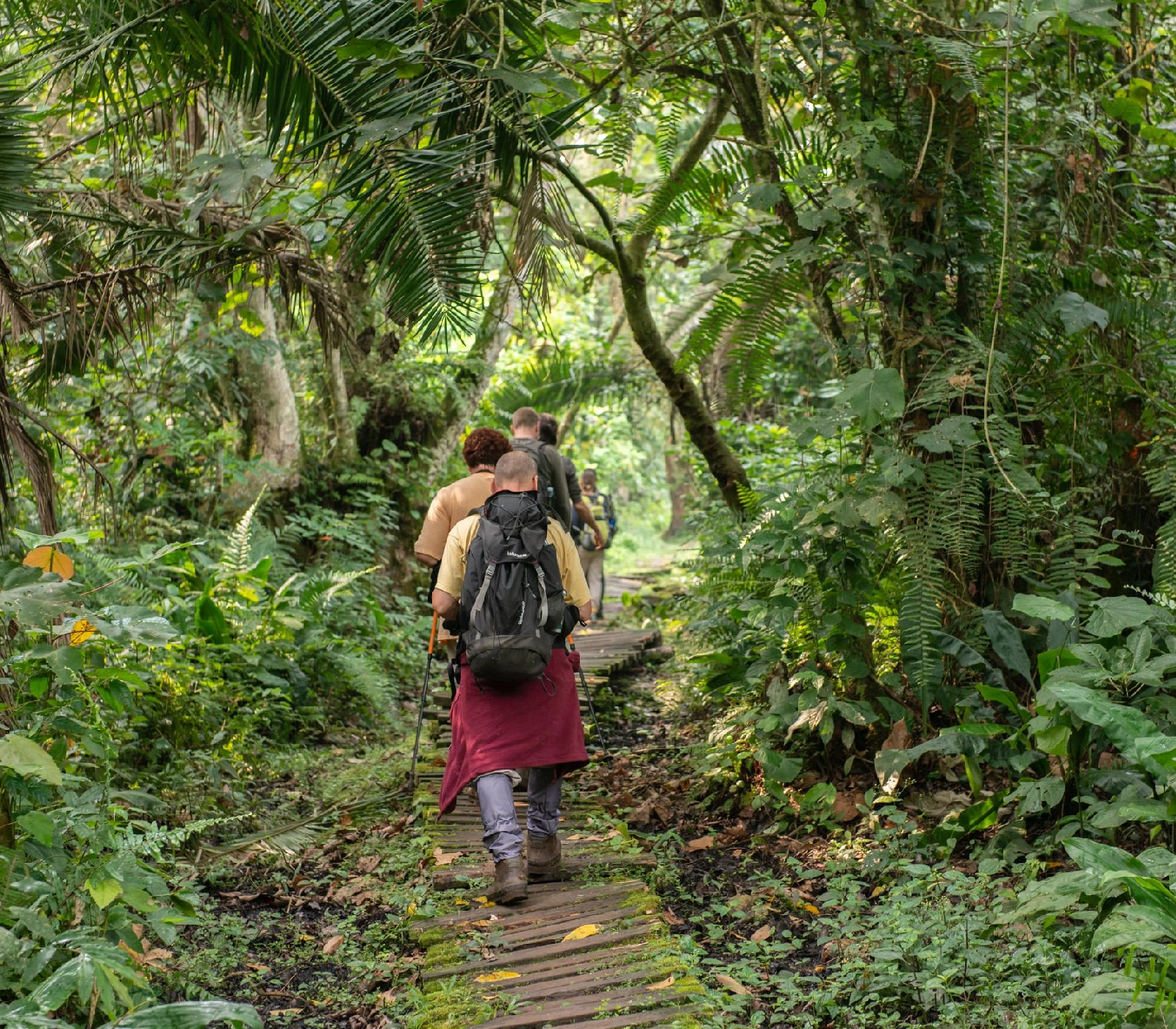 5 Days Uganda Gorilla and Chimpanzee Trekking Attractions