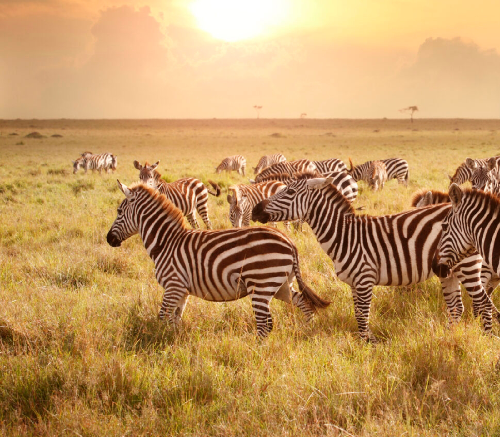 6 Days, 4 National Parks  Attractions