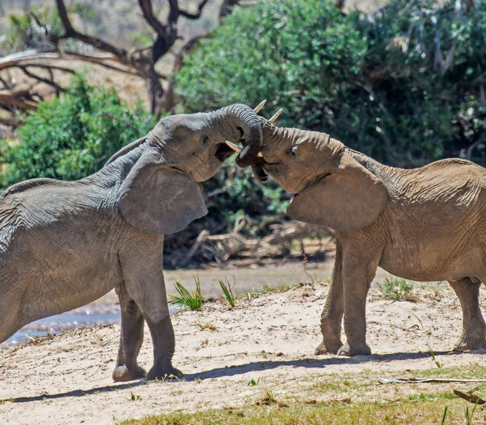 6 Days, 4 National Parks – Nairobi To Kenya Beach Safari  Attractions