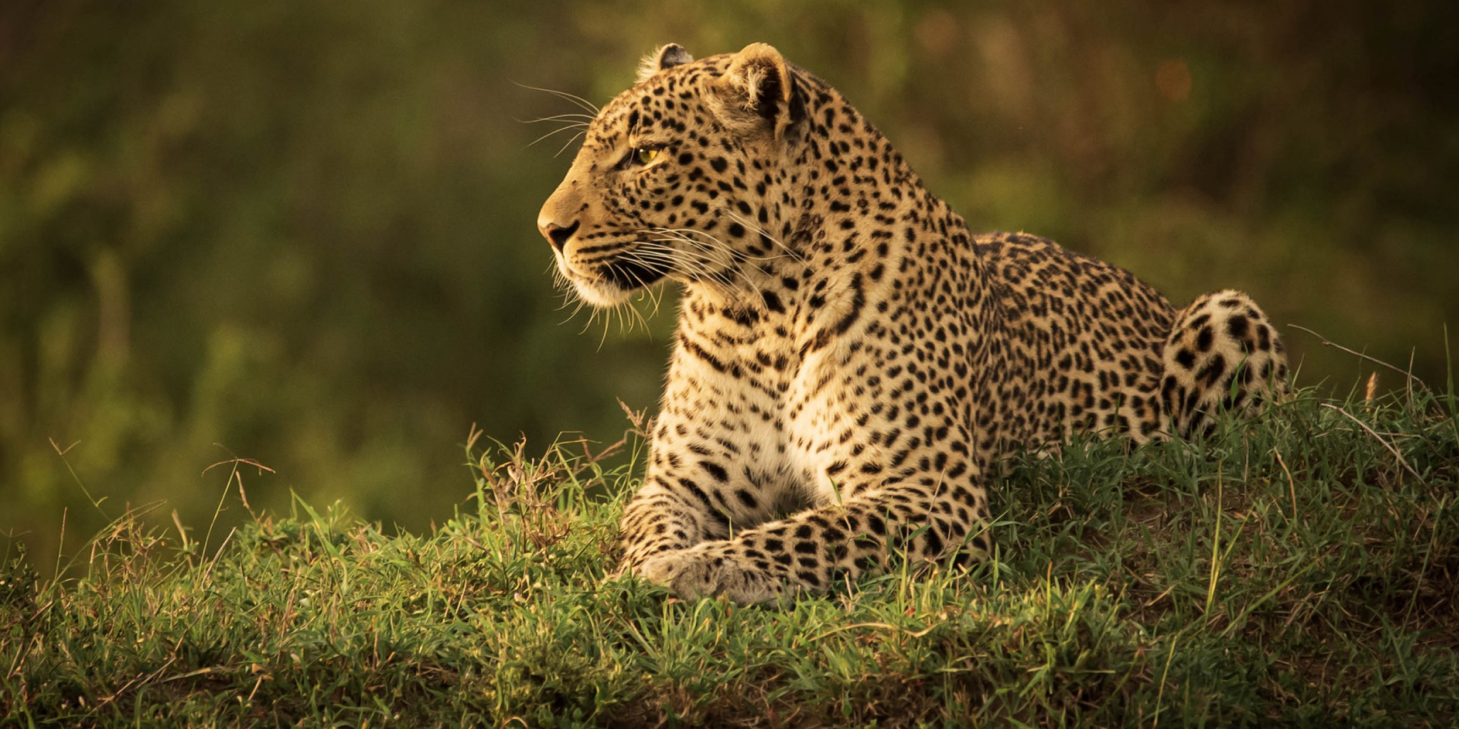 6 Days, 4 National Parks – Nairobi To Kenya Beach Safari