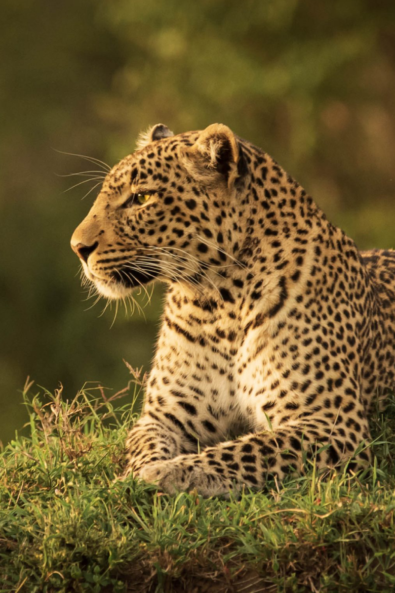 6 Days, 4 National Parks – Nairobi To Kenya Beach Safari