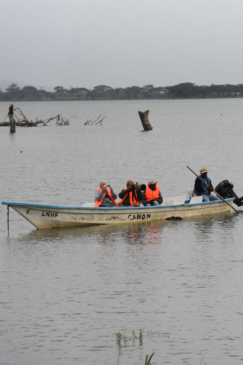 6 Days – Amboseli, Naivasha, Nakuru & Masai Mara Safari