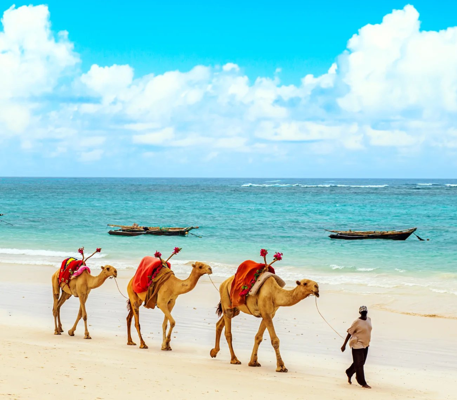 6-Days Kenya Beach To Beach Safari Holiday Attractions