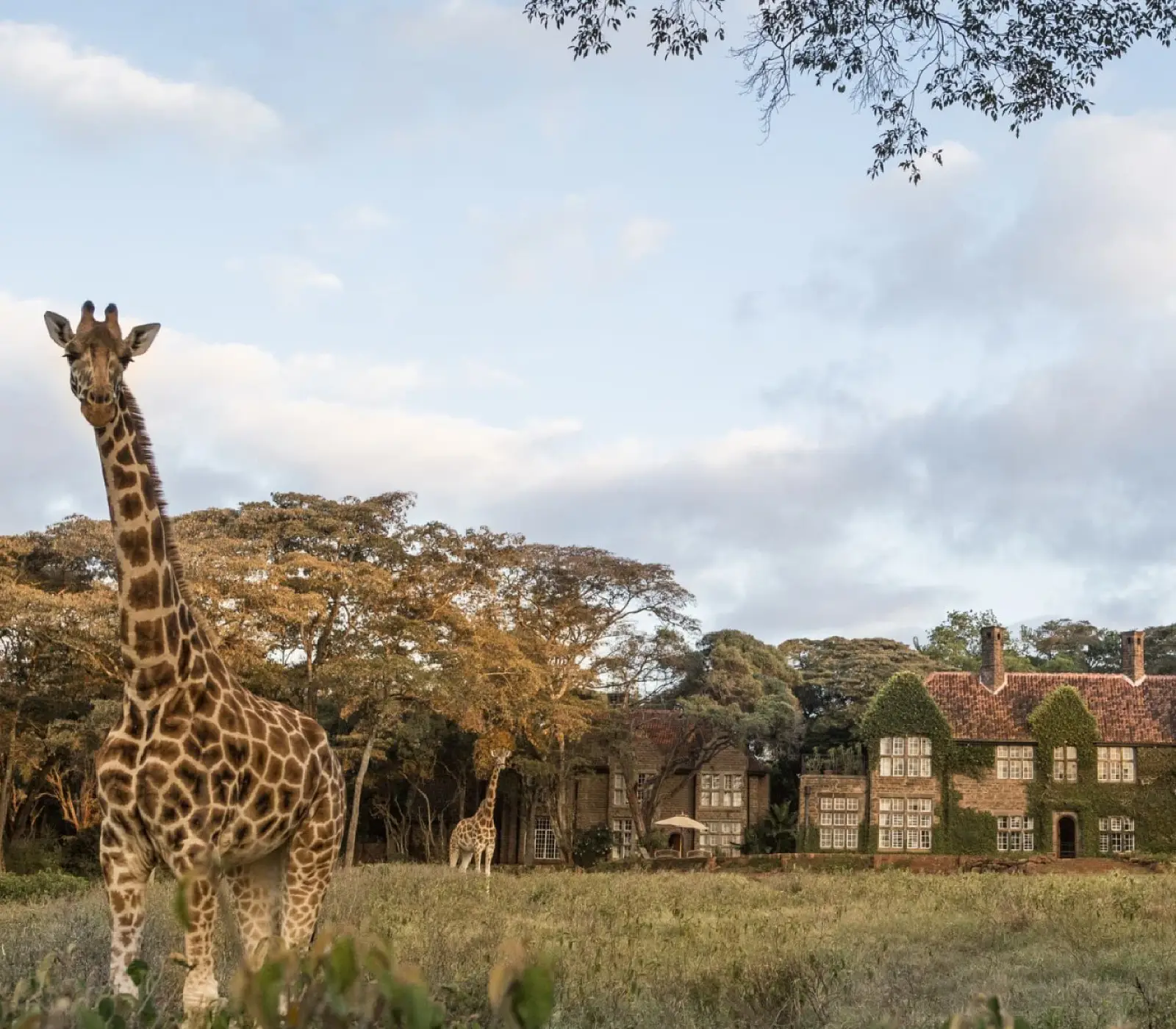 6 Days Kenya Fly-in Safari Attractions