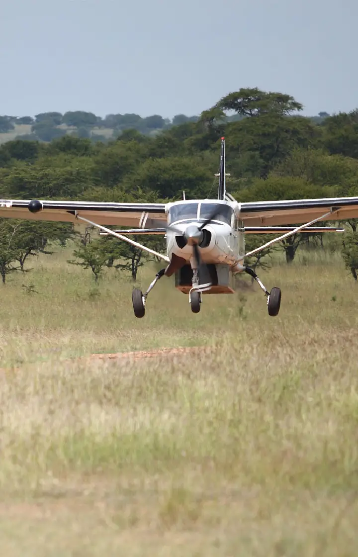 6 Days Kenya Fly-in Safari wildlife