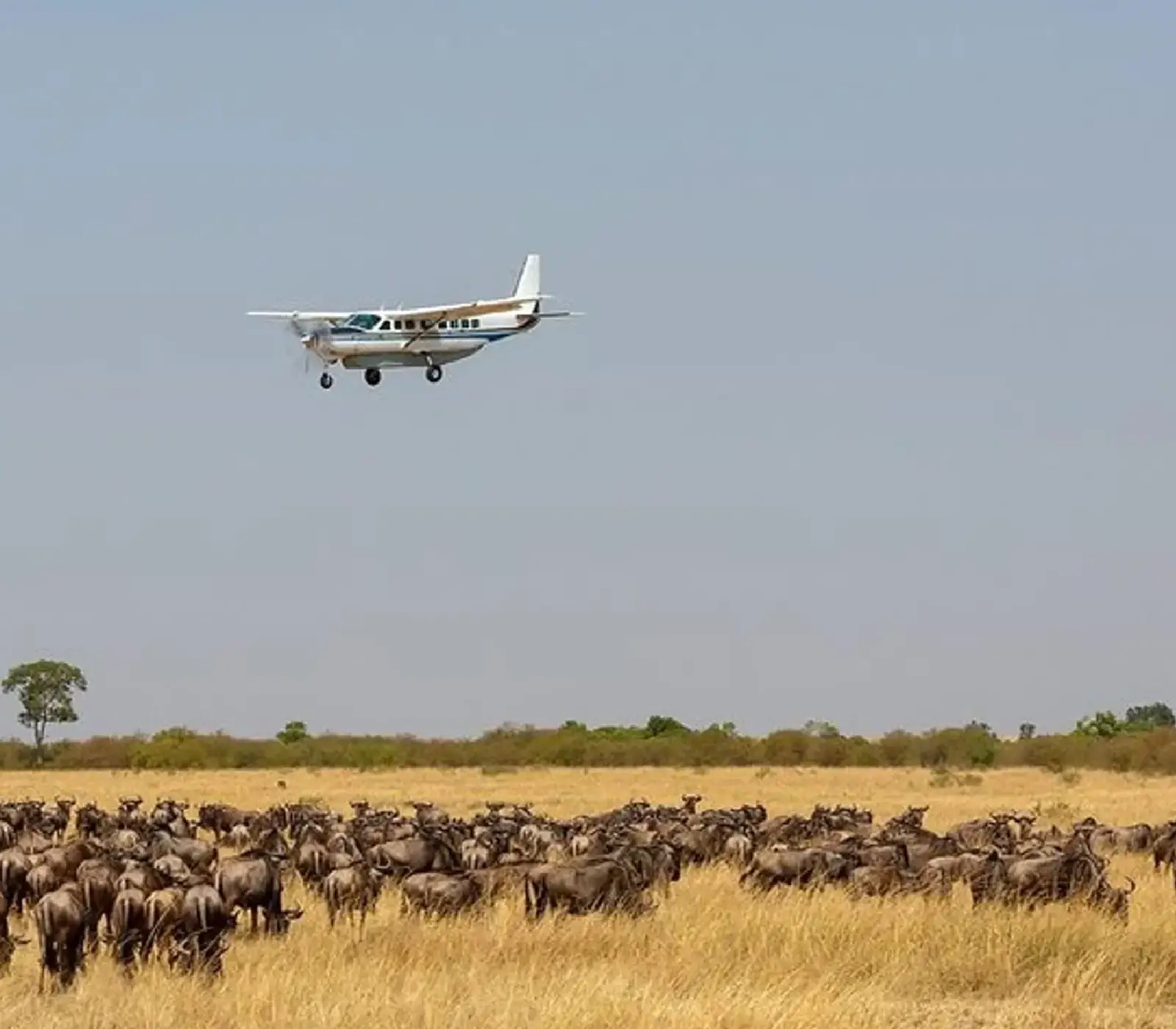 6 Days Kenya Fly-in Safari Attractions