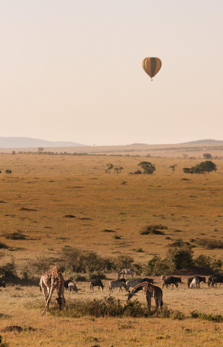 6-Days Maasai Mara, Lake Nakuru and Amboseli Safari Baloon Safaris