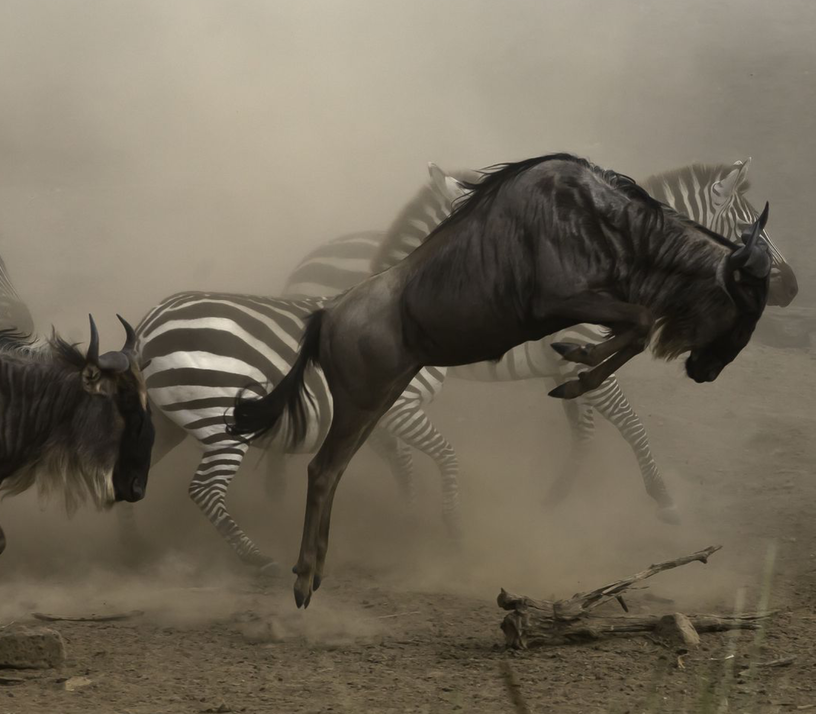 6 Days – Masai Mara, Lake Nakuru, Amboseli & Tsavo West To Kenya Beach Safari  Attractions