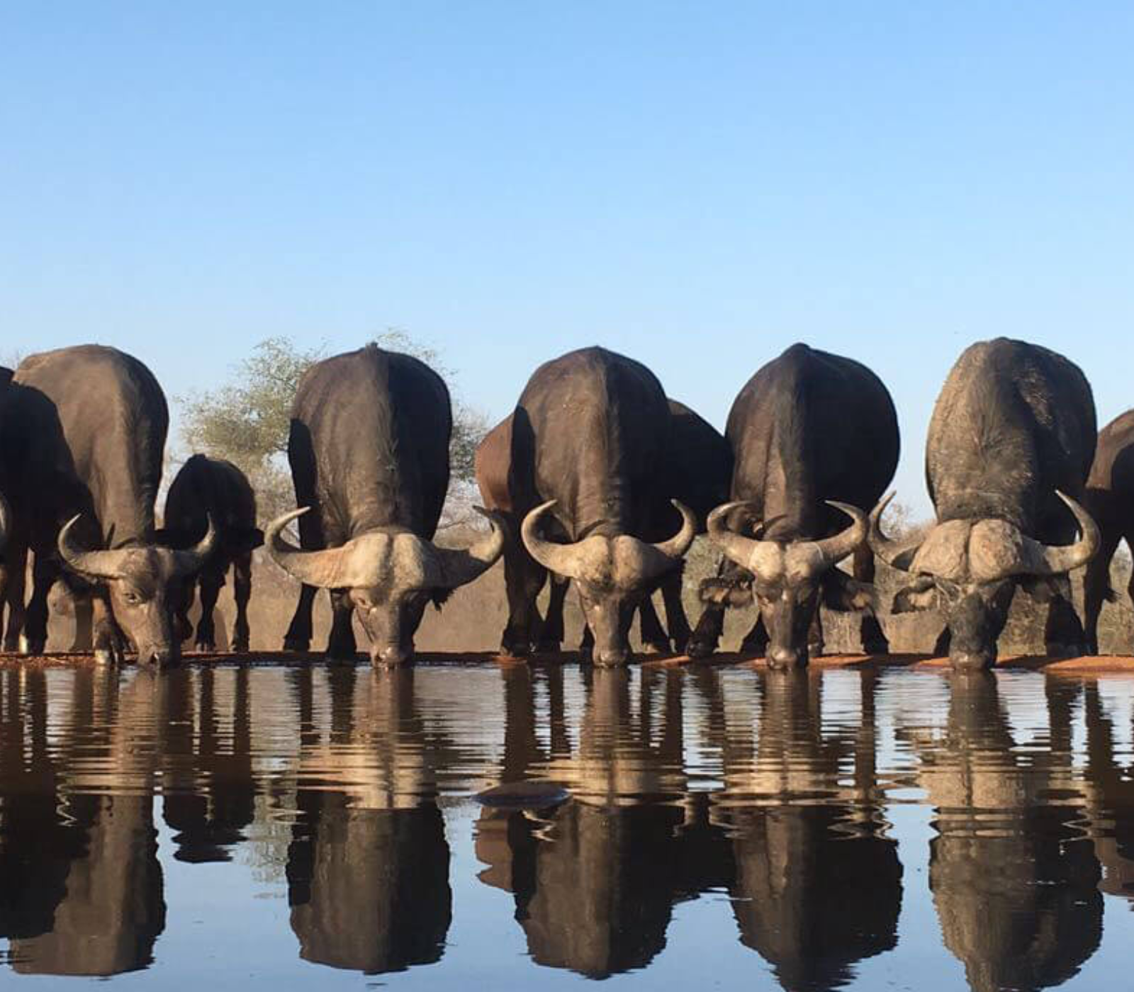 6 Days – Masai Mara, Lake Nakuru, Amboseli & Tsavo West To Kenya Beach Safari  Attractions