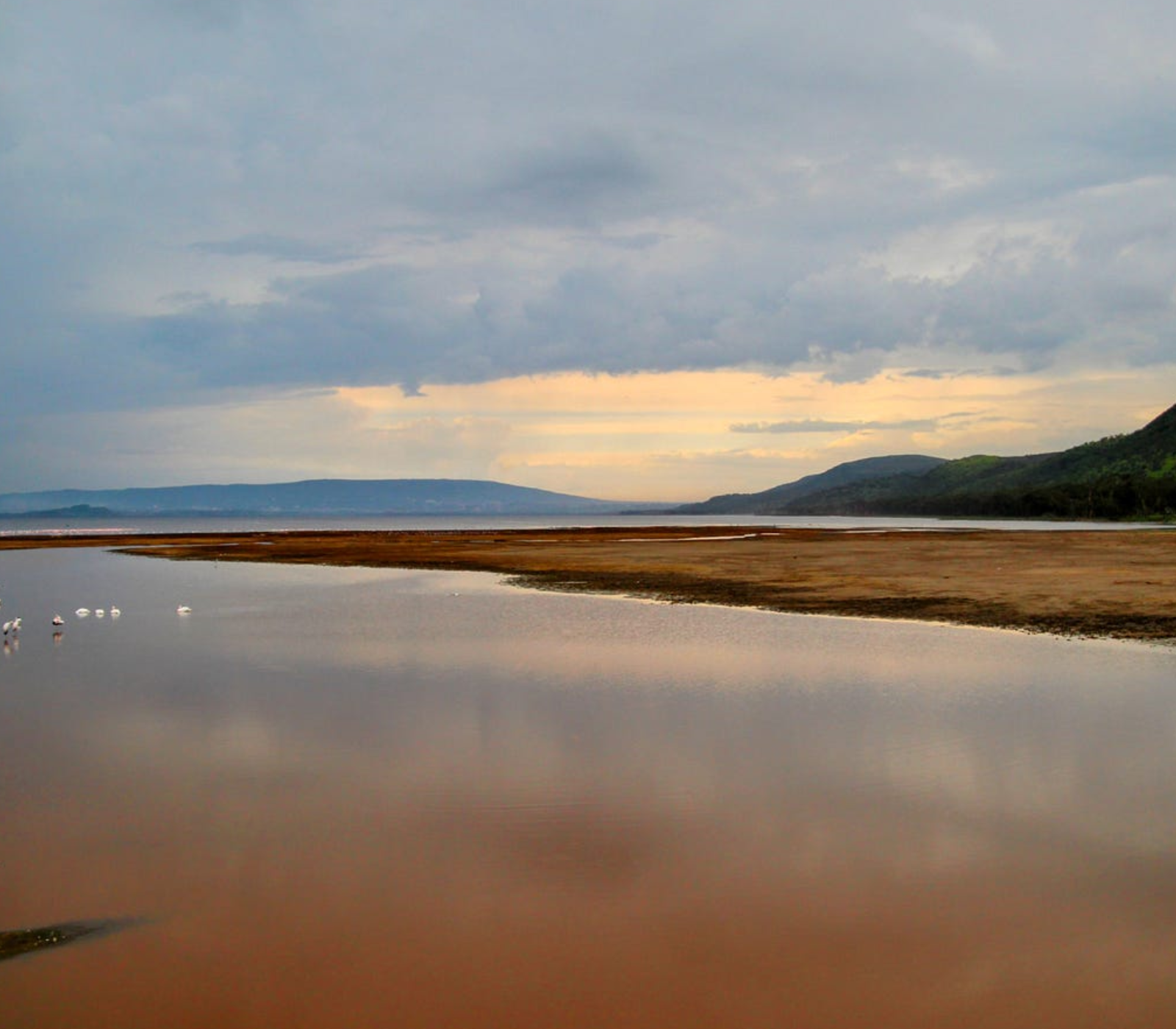 6 Days – Masai Mara, Lake Nakuru, Amboseli & Tsavo West To Kenya Beach Safari  Attractions