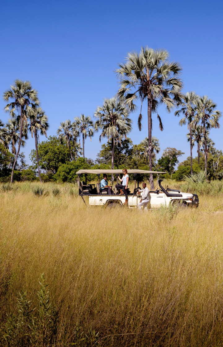 6 Days Safari Tour | 4 Iconic Parks & Flight To Diani Beach  Game Drives