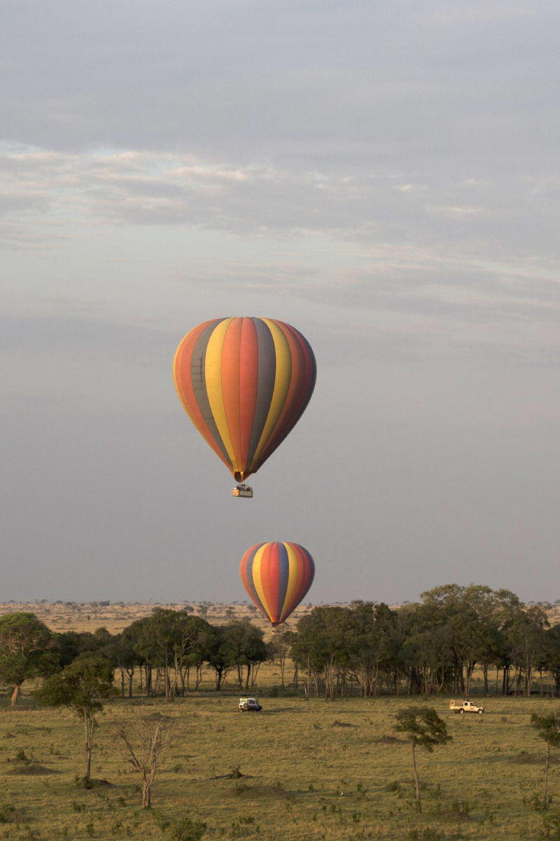 6 Days Safari Tour | 4 Iconic Parks & Flight To Diani Beach