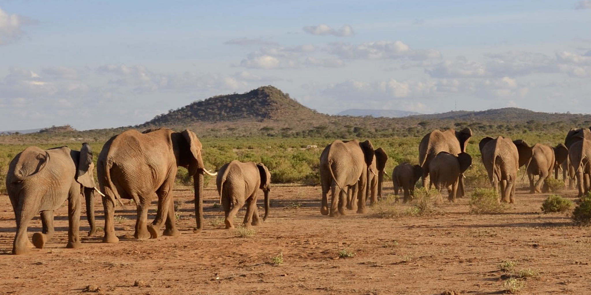6 Days - Samburu, Lake Nakuru And Masai Mara Safari