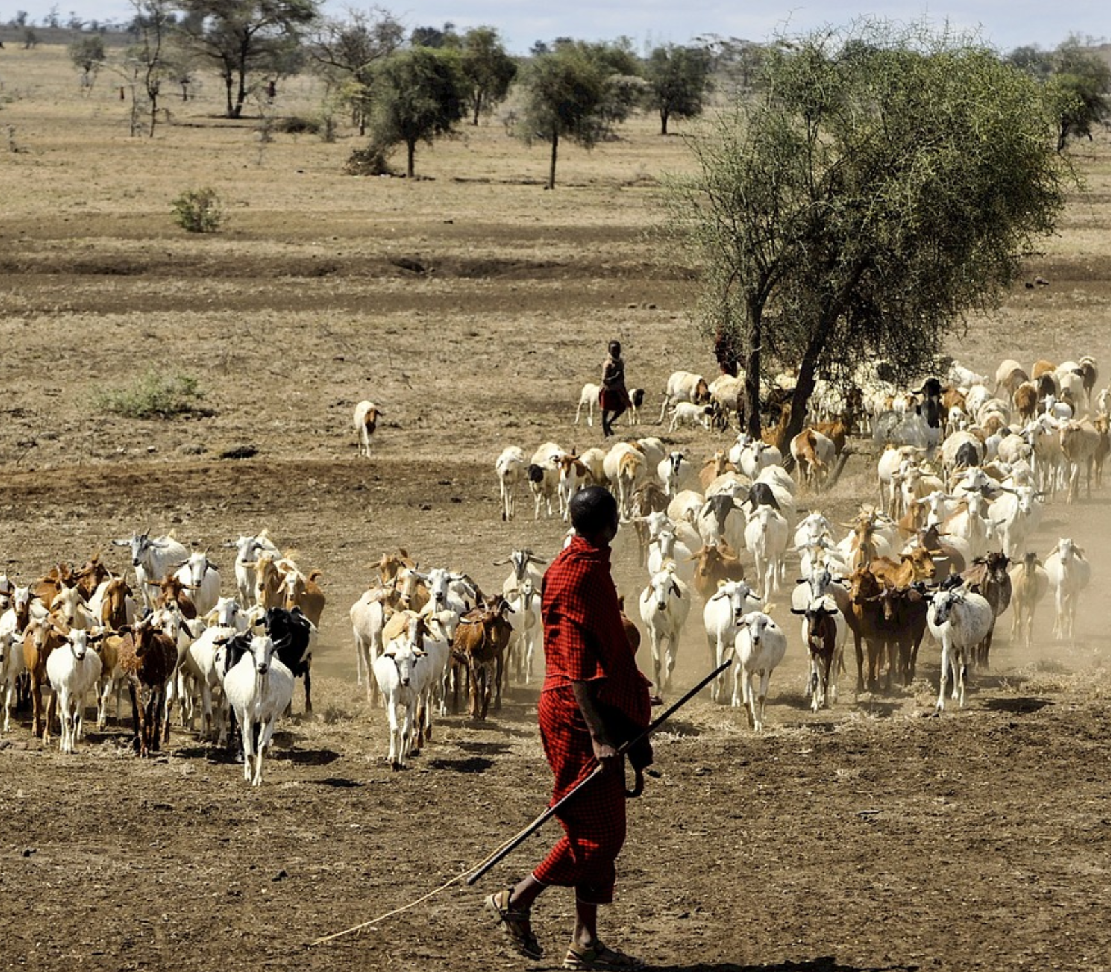 6 Days - Samburu, Lake Nakuru, Masai Mara Safari  Attractions