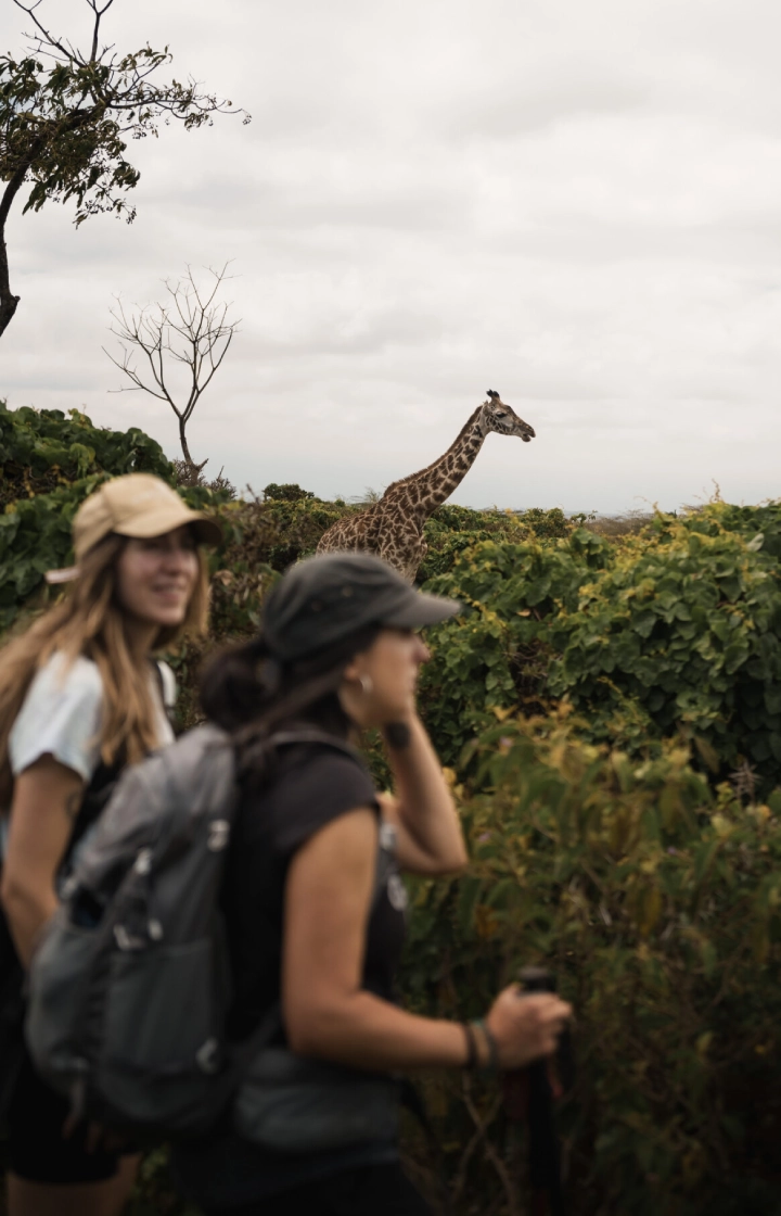 6 Days Tanzania Walking Safari wildlife